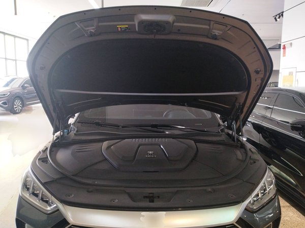 BYD Song 2021, 36100 км, за 14973 USD - фото 10