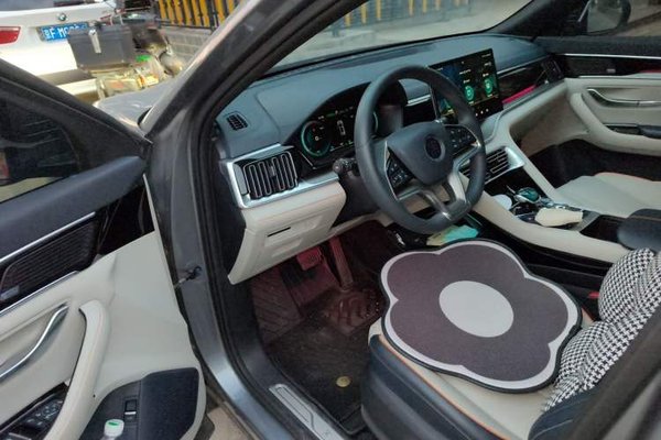 BYD Song PLUS New Energy 2021, 43600 км, за 10342 USD - фото 16