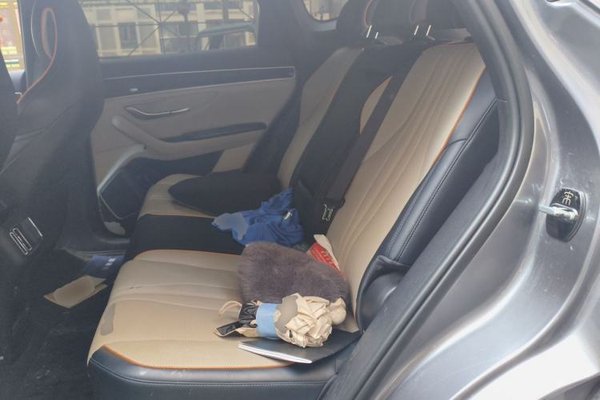 BYD Song PLUS New Energy 2021, 82400 км, за 8949 USD - фото 18