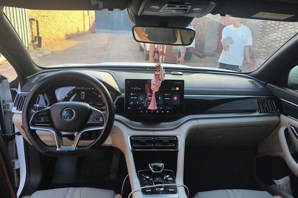 BYD Song PLUS New Energy 2021, 100500 км, за 8964 USD - фото 9