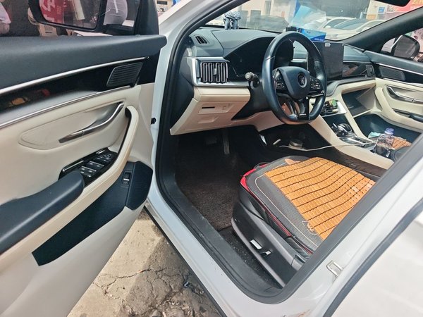 BYD Song PLUS New Energy 2021, 92000 км, за 11807 USD - фото 13