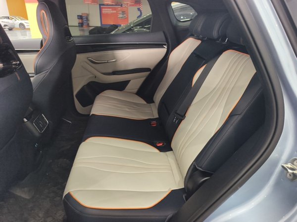 BYD Song PLUS New Energy 2023, 49300 км, за 17492 USD - фото 20