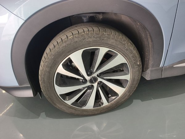 BYD Song PLUS New Energy 2023, 49300 км, за 17492 USD - фото 8