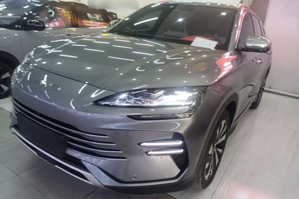 BYD Song PLUS New Energy · 2023 год
