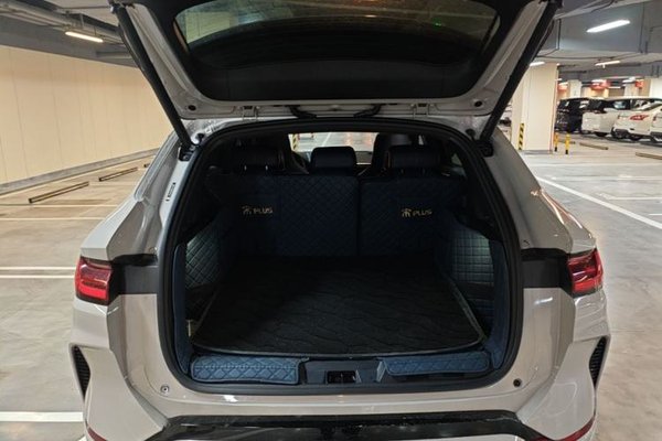 BYD Song PLUS New Energy 2023, 10800 км, за 15242 USD - фото 27
