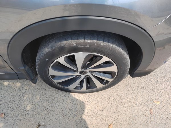 BYD Song PLUS New Energy 2024, 45700 км, за 13632 USD - фото 8