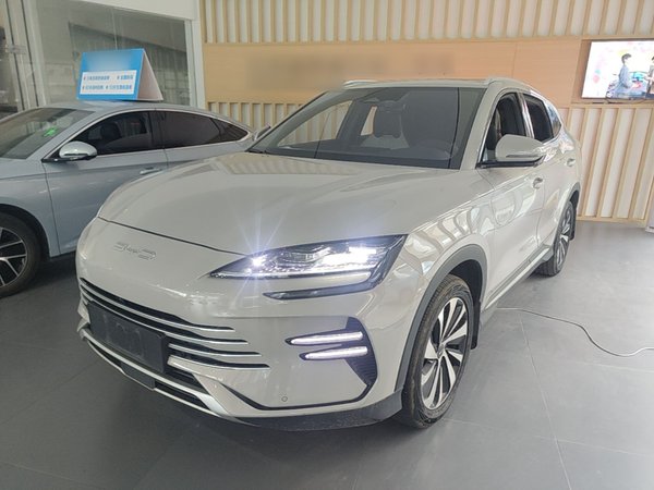 BYD Song PLUS New Energy · 2024 год