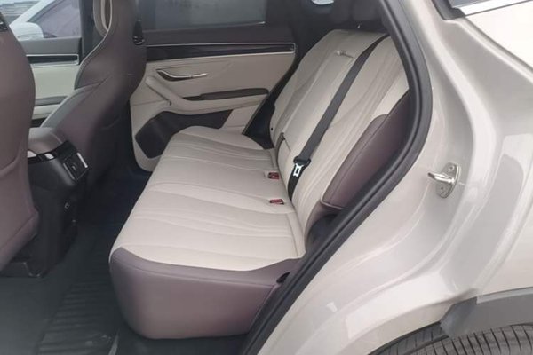 BYD Song PLUS New Energy 2025, 25900 км, за 15999 USD - фото 20
