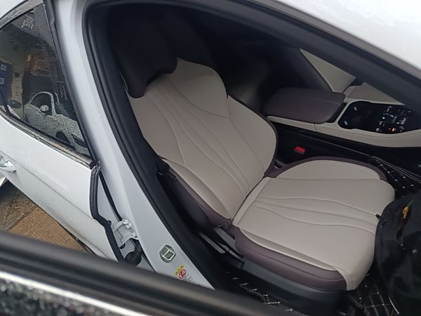 BYD Song PLUS New Energy 2025, 20400 км, за 15647 USD - фото 29