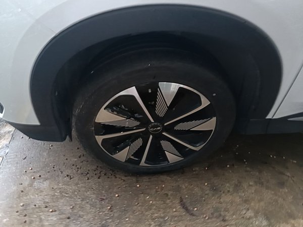 BYD Song PLUS New Energy 2025, 20400 км, за 15647 USD - фото 8