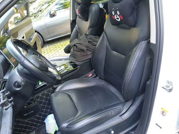 BYD Song Pro New Energy 2019, 119900 км, за 9475 USD - фото 12