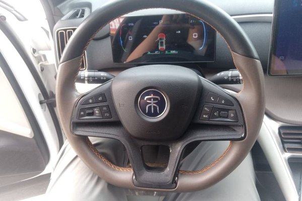 BYD Song Pro New Energy 2022, 21800 км, за 11321 USD - фото 13