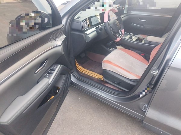 BYD Song Pro New Energy 2025, 11600 км, за 12473 USD - фото 13