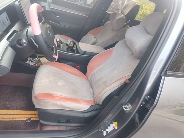 BYD Song Pro New Energy 2025, 11600 км, за 12473 USD - фото 12
