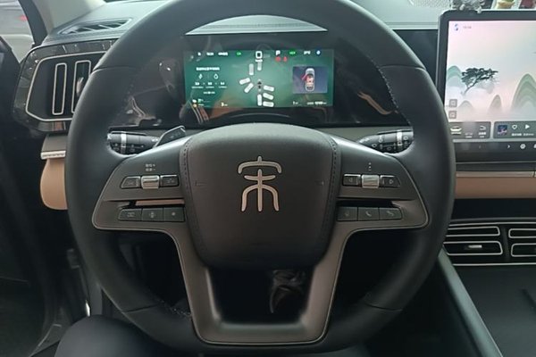 BYD Song Pro New Energy 2025, 12200 км, за 13803 USD - фото 14