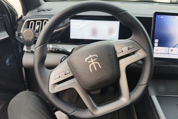 BYD Song Pro New Energy 2025, 12600 км, за 12112 USD - фото 14