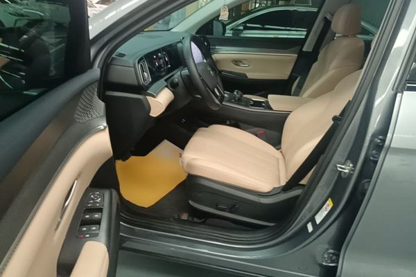 BYD Song Pro New Energy 2025, 13899 км, за 14006 USD - фото 17