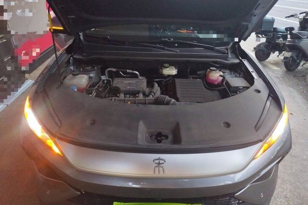 BYD Song Pro New Energy 2025, 52900 км, за 13361 USD - фото 21
