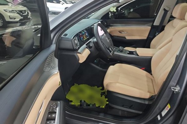 BYD Song Pro New Energy 2025, 900 км, за 16058 USD - фото 22