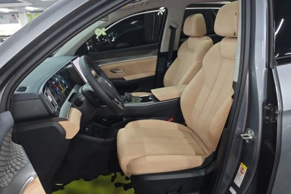 BYD Song Pro New Energy 2025, 900 км, за 16058 USD - фото 21