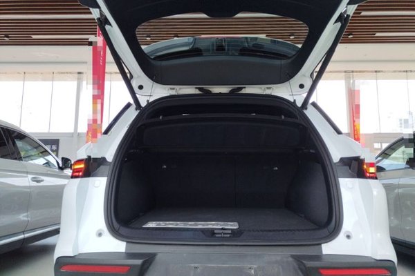 BYD Song Pro New Energy 2025, 8800 км, за 16014 USD - фото 22