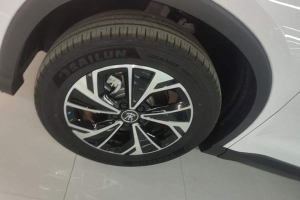 BYD Song Pro New Energy 2026, 100 км, за 14900 USD - фото 8