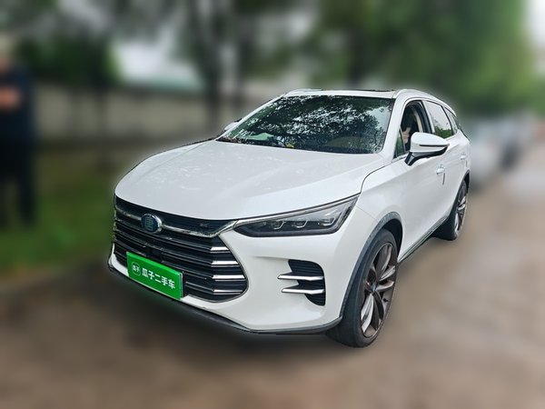 BYD Tang New Energy · 2018 год