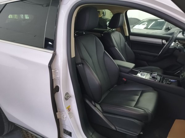 BYD Tang New Energy 2018, 50700 км, за 11910 USD - фото 23