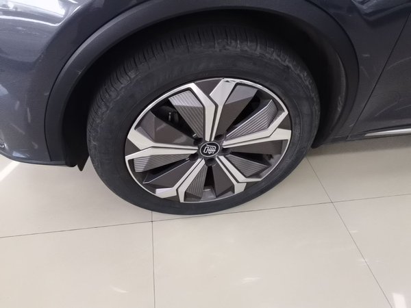 BYD Tang New Energy 2021, 76300 км, за 16041 USD - фото 18