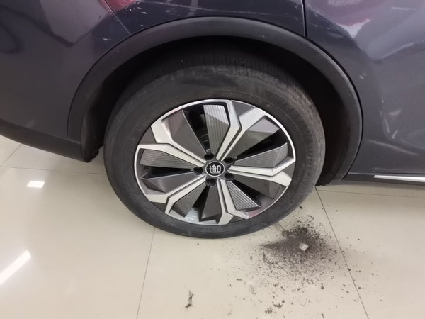 BYD Tang New Energy 2021, 76300 км, за 16041 USD - фото 20