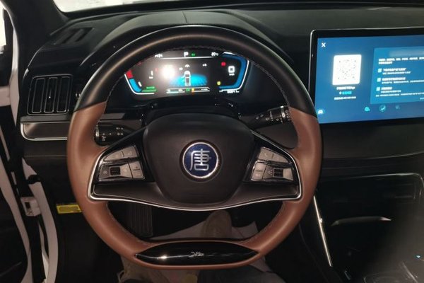 BYD Tang New Energy 2021, 66600 км, за 14800 USD - фото 13