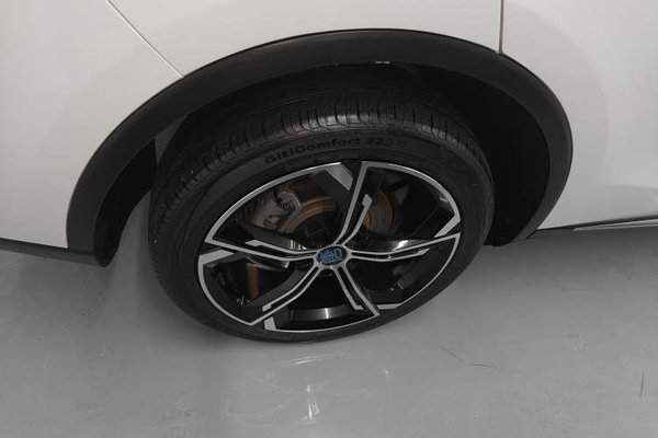 BYD Tang New Energy 2021, 81500 км, за 14940 USD - фото 11