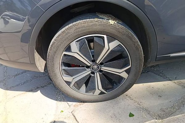 BYD Tang New Energy 2022, 115000 км, за 18485 USD - фото 8