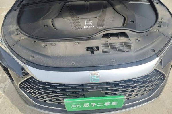 BYD Tang New Energy 2022, 83000 км, за 19294 USD - фото 17