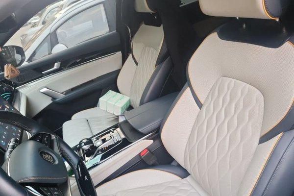 BYD Tang New Energy 2022, 99000 км, за 16240 USD - фото 16