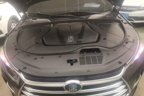 BYD Tang New Energy 2023, 39400 км, за 18397 USD - фото 24