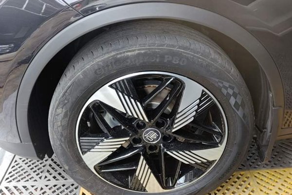 BYD Tang New Energy 2023, 59700 км, за 18235 USD - фото 10