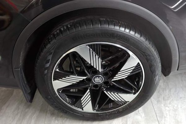 BYD Tang New Energy 2023, 59700 км, за 18235 USD - фото 11