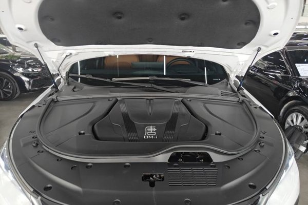BYD Tang New Energy 2023, 45800 км, за 17507 USD - фото 24