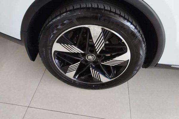 BYD Tang New Energy 2023, 76700 км, за 16631 USD - фото 11