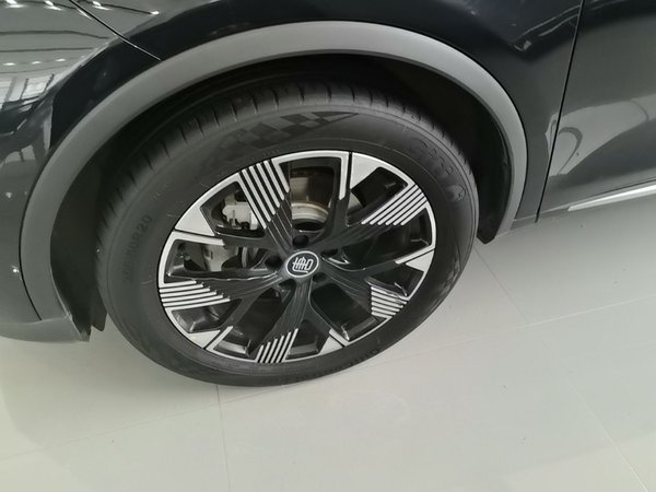 BYD Tang New Energy 2024, 26600 км, за 20153 USD - фото 8
