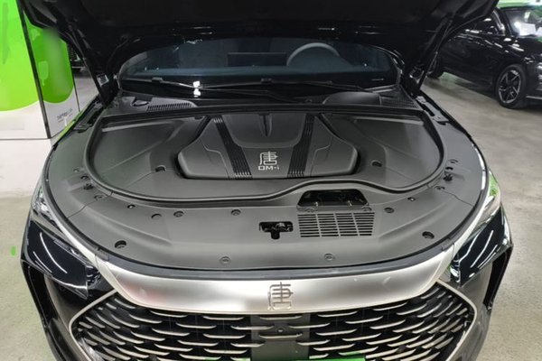 BYD Tang New Energy 2024, 46500 км, за 17896 USD - фото 30