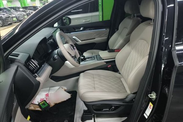 BYD Tang New Energy 2024, 46500 км, за 17896 USD - фото 22