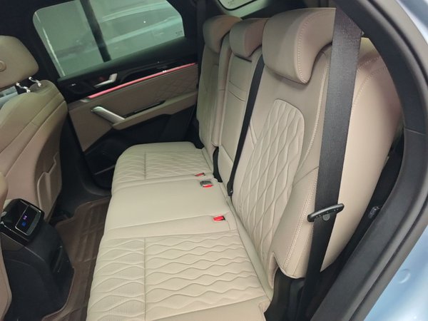 BYD Tang New Energy 2024, 42500 км, за 23363 USD - фото 20
