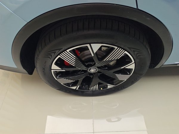 BYD Tang New Energy 2024, 42500 км, за 23363 USD - фото 10