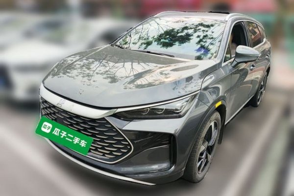 BYD Tang New Energy · 2024 год