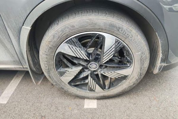 BYD Tang New Energy 2024, 45700 км, за 17038 USD - фото 8
