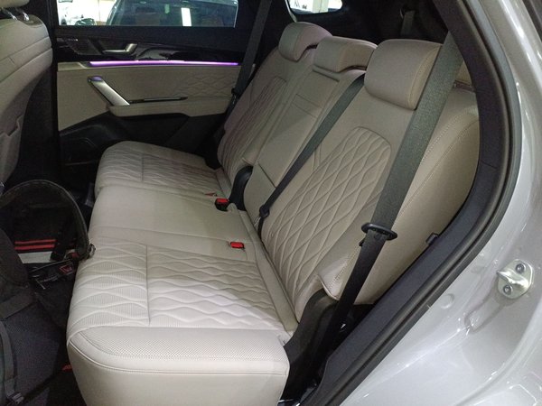 BYD Tang New Energy 2025, 5000 км, за 25091 USD - фото 20