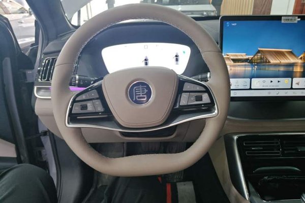 BYD Tang New Energy 2025, 5400 км, за 23918 USD - фото 13