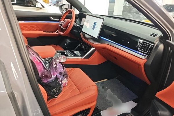 BYD Tang New Energy 2025, 5600 км, за 24603 USD - фото 23